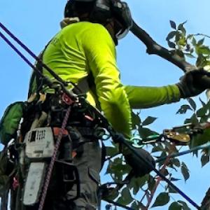 FG’s Tree Service