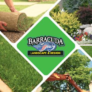 Barracuda Landscape & Curbing
