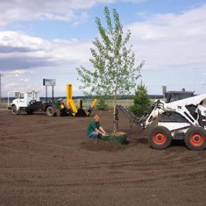 Organic Air Tree & Shrub Care