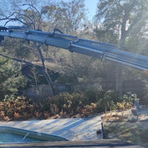 Always Trimming Tree Specialists