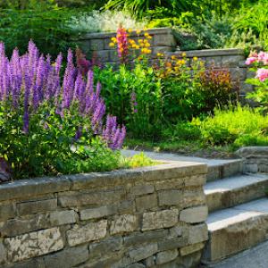 Natures Friends Landscaping Bethesda