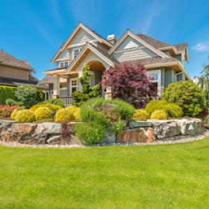 Jake's Lawn & Tree Service