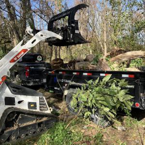 Glenn Lawn & Tree Service