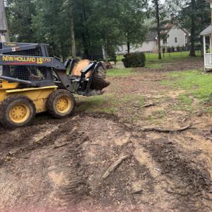 Back Forty Tree Solutions