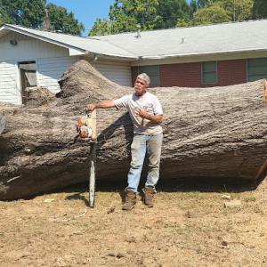 5 Starr Tree Service