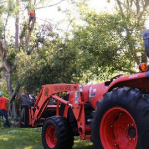 Atlantic Property Services APS Tree Service