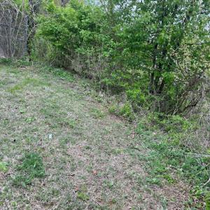 Kenny’s Tree Services