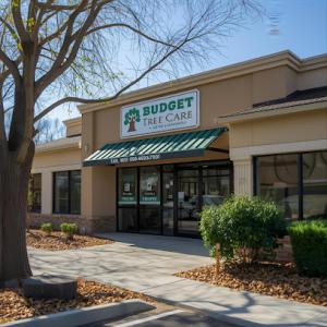 Budget Tree Care