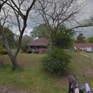 Pine Bluff tree service