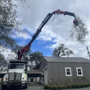 TreeMax Tree Service