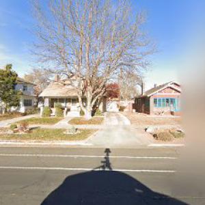 Pueblo Tree Specialists