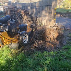 Mark's Stump Grinding