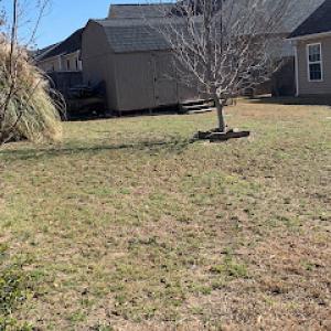 A&A Tree&Lawn Services