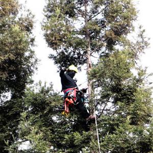 RP Landscape & Cleanup