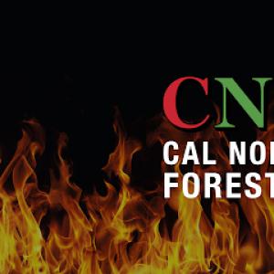 Cal North Forestry - 24/7 Emergency Tree Service, Fire Prevention & Landscape Maintenance
