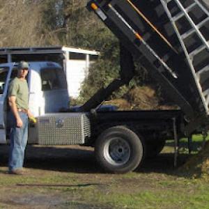 Alan Quality Tree Care