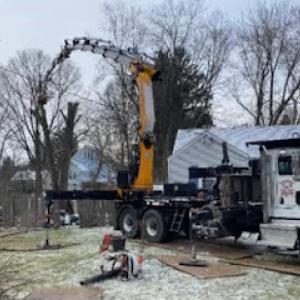 Greater Heights Tree Care