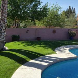 Saguaro Desert Landscaping