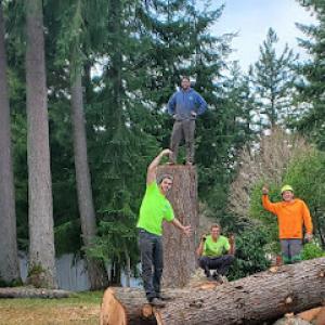 Olympic View Tree Service