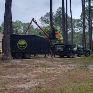 Family First Tree Care