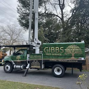 Gibbs Tree Service