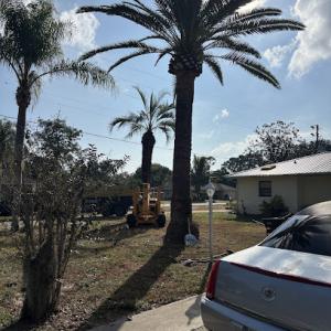 Miller Tree Services