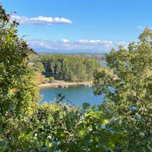 Golden Corner Arboriculture