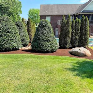 ECR Total Landscapes