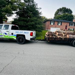 Angel's Tree Service & Landscaping