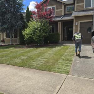 TruPlants Landscape & Paver Services