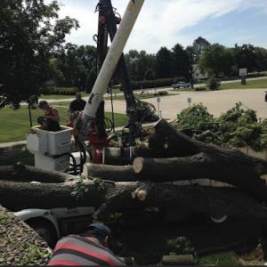 JS Brothers Tree Service