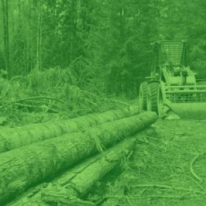 Frank's Land Restoration