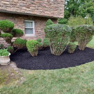 STS Tree & Landscaping