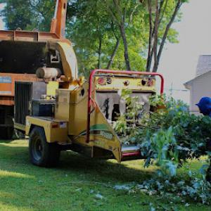 Sotos Tree Services