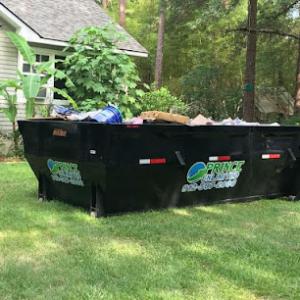 Prince & Son Tree Specialists