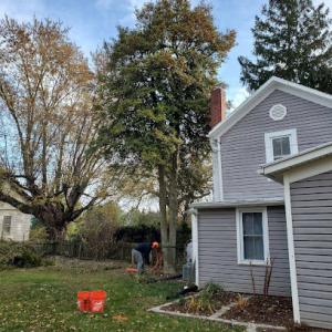 Valley Tree Care