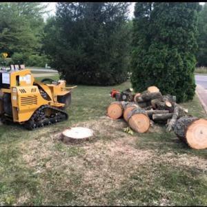 Osos tree & landscaping