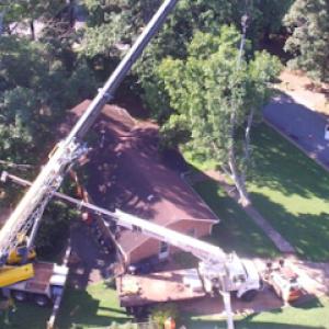 ROCKIN' W LLC Tree Service