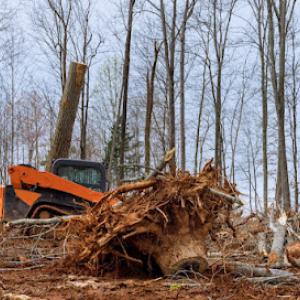 Herman Tree Service & Land Clearing