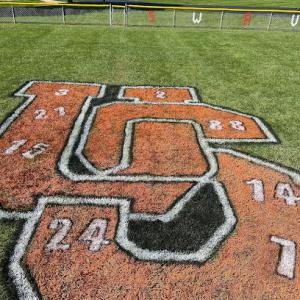 NLS Professional Grounds