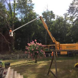 Vaughan's Tree Service