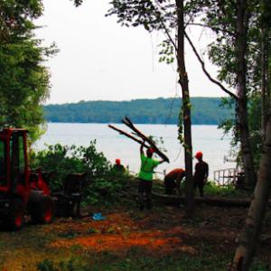 A-1 Professional Tree Service