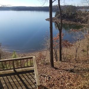 All Access Tree Trimming