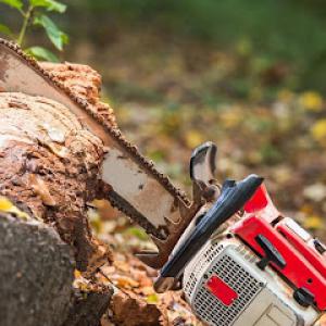 Fishhook Tree Services