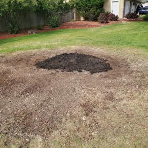 Quartz Stump Grinding