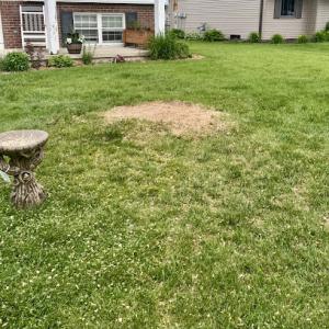 Brilliant Lawn & Landscape