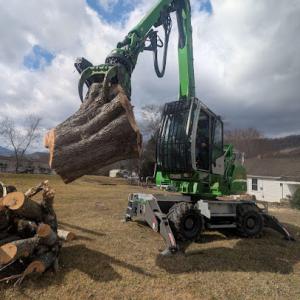 Schofield Tree Patrol