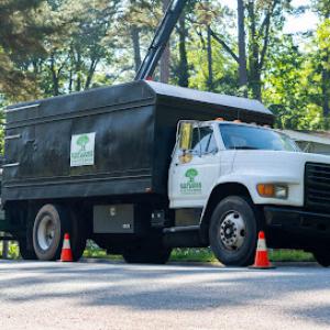 Explore Tree Service