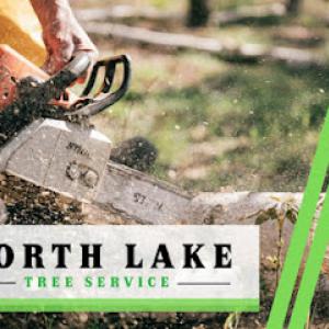 North Lake Tree Service