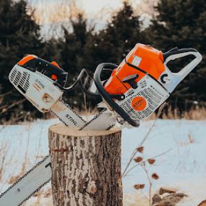 Big Bark Tree Taming